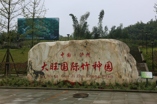 1513077772910.jpg