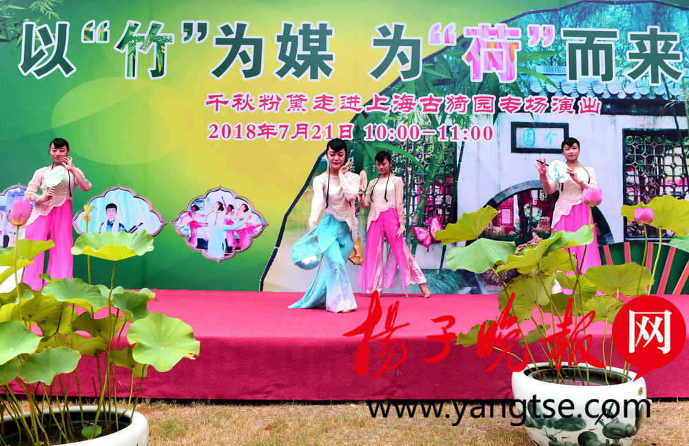 lyh8-hfqtahi4227152.jpg