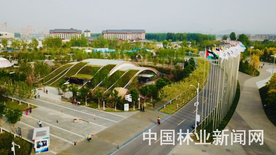 4ccc6a76aba61e503b740e.jpg