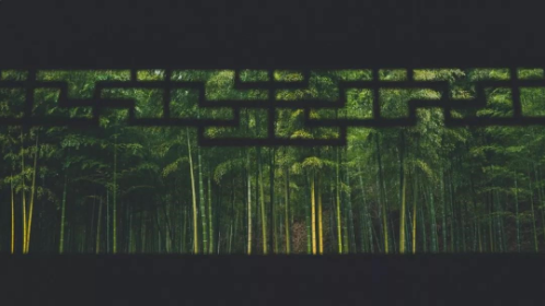 QQ图片20190805164539.png