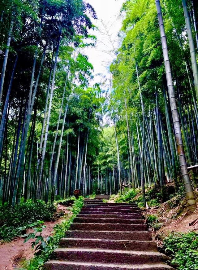 0b7b02087bf40ad1ea9eb794d519c4daa9ecce0e.jpeg