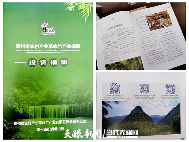 d50735fae6cd7b893d58515d05cb9ba2d8330e28.jpeg