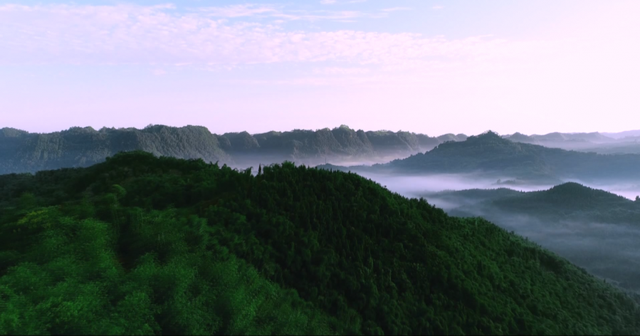 d52a2834349b033bc7d4d11b8ee630d5d439bd45.png
