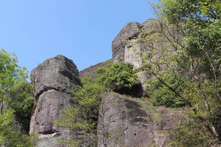 W020200424586491883838.jpg