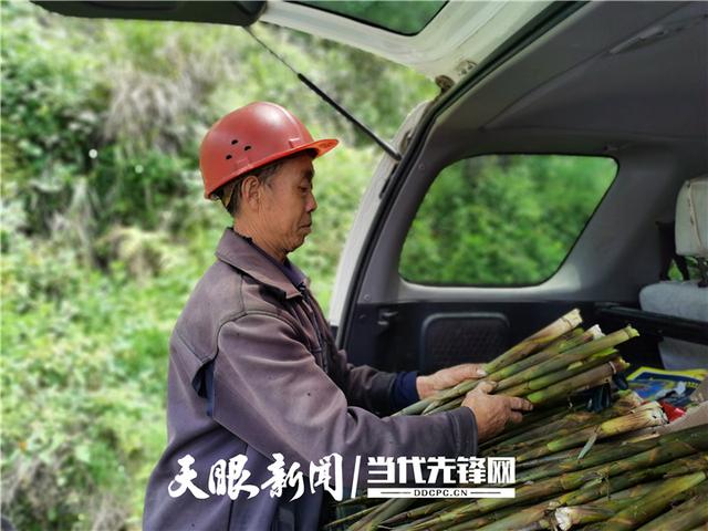 cc11728b4710b912d8c8382ec87b4e0593452265.jpeg