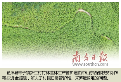 94cad1c8a786c91762f451d6bf8f82c939c757a6.png