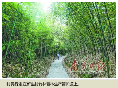 d1a20cf431adcbef45a09224d91ddcdba2cc9fb1.png