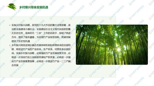 c9fcc3cec3fdfc03a1c7aaa0ca837892a5c226a9.jpeg