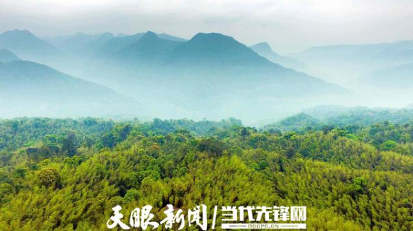 QQ图片20200818154516.png