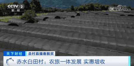 bbfdb3fcdcd232aba234a138c18d868d.gif