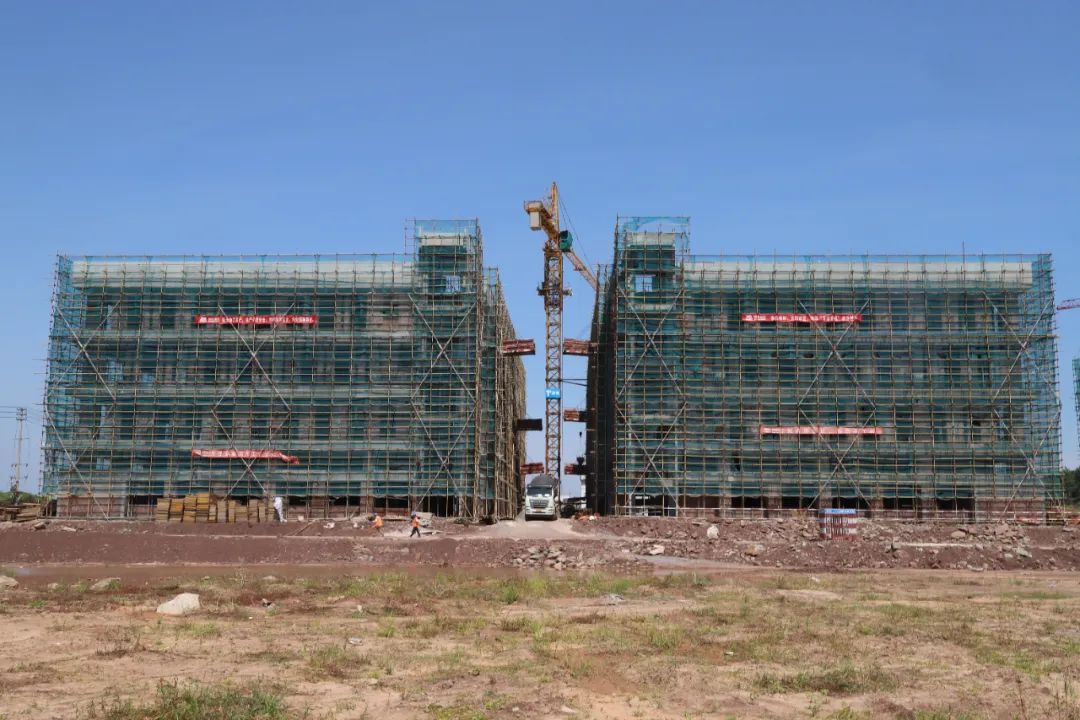530.jpg