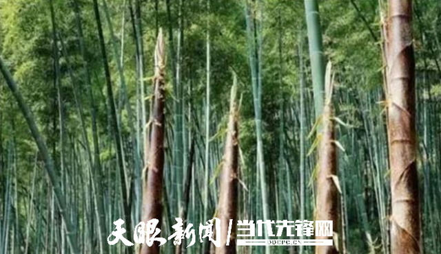 91529822720e0cf34af8c146b995c418bf09aa5f.png