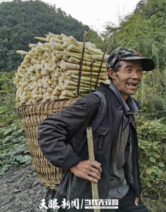 QQ图片20200910154516.png