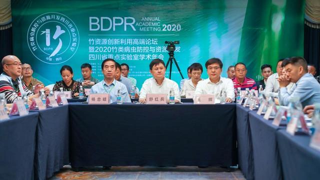 cdbf6c81800a19d8096d7760d22ad28ca71e4645.jpeg