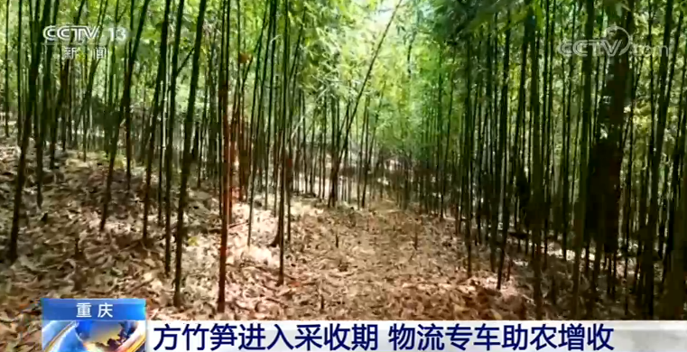 2020101509541094797.png