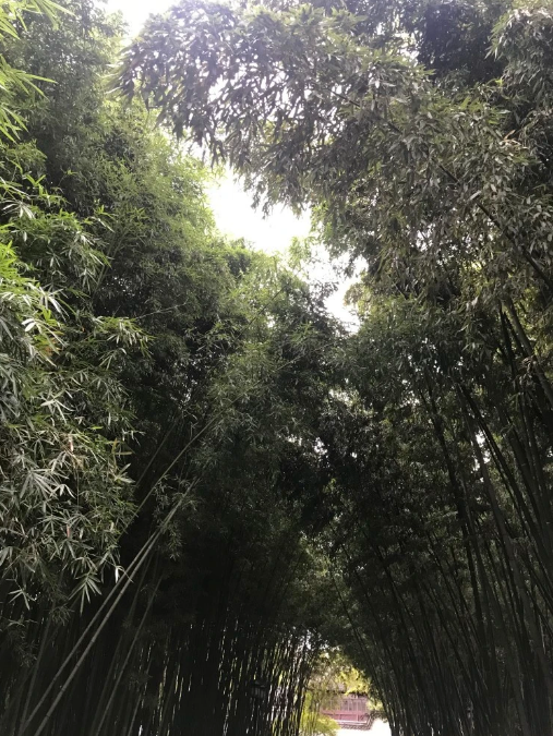 QQ图片20201022151503.png