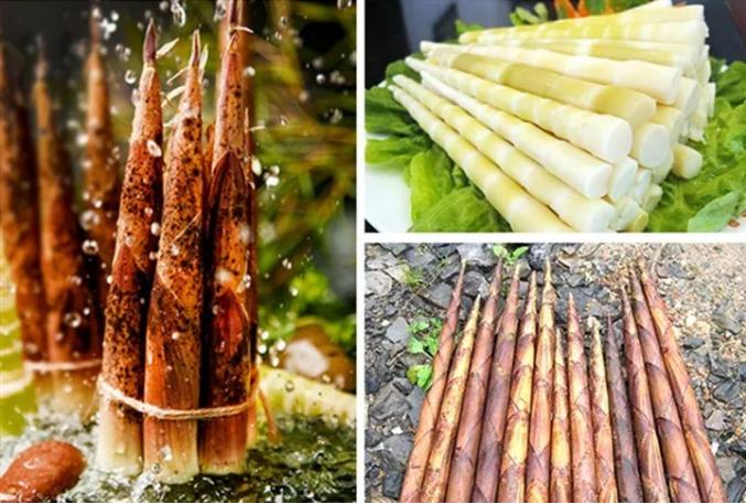 827.jpg