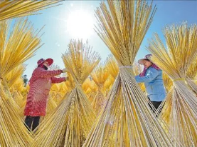 QQ图片20210119104222.png